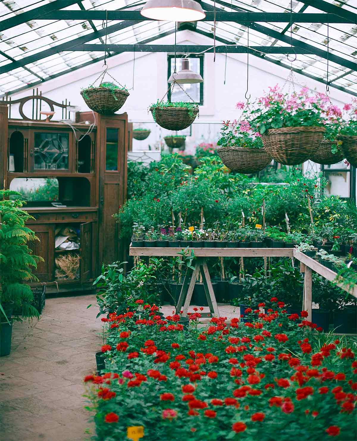 Keeping Your Greenhouse Warm in Winter: Essential Tips and Techniques